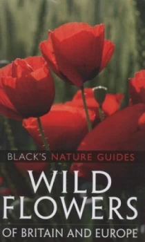 Image of Wild Flowers of Britain and Europe by Margot Spohn Book