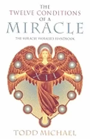 Image of twelve conditions of a miracle the miracle workers handbook