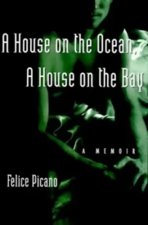 Image of A house on the ocean a house on the bay by Felice Picano