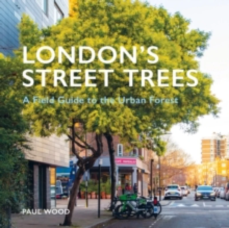 Image of London's Street Trees : A Field Guide to the Urban Forest Paperback / softback