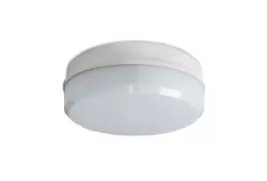 image of Robus 28W Compact 2D Surface Fitting with Opal Diffuser - White