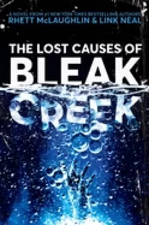 Image of lost causes of bleak creek a novel