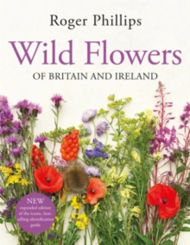 Image of Wild Flowers : of Britain and Ireland Hardback