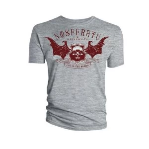 Image of School of Horror - Nosferatu University Womens Large T-Shirt - Grey
