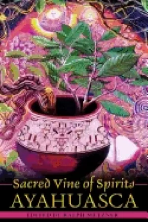 Image of sacred vine of spirits ayahuasca