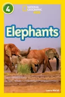 Image of Elephants : Level 4
