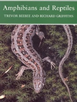 Image of Amphibians and Reptiles by Trevor Beebee Paperback