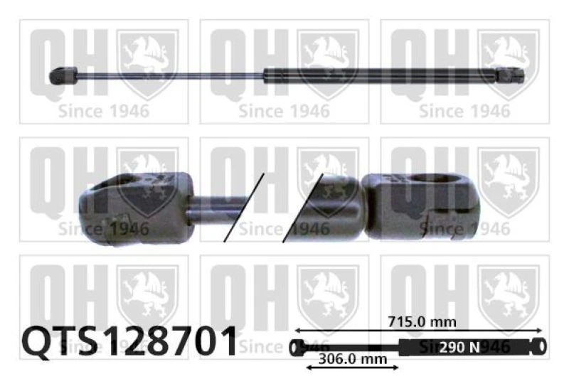Image of QUINTON HAZELL Bonnet strut QUINTON HAZELL QTS128701
