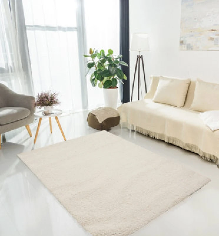 Image of Ds Living Cloud Luxe Plain Natural Medium Rug