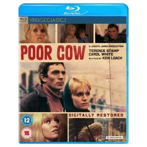 Image of Poor Cow (Bluray)