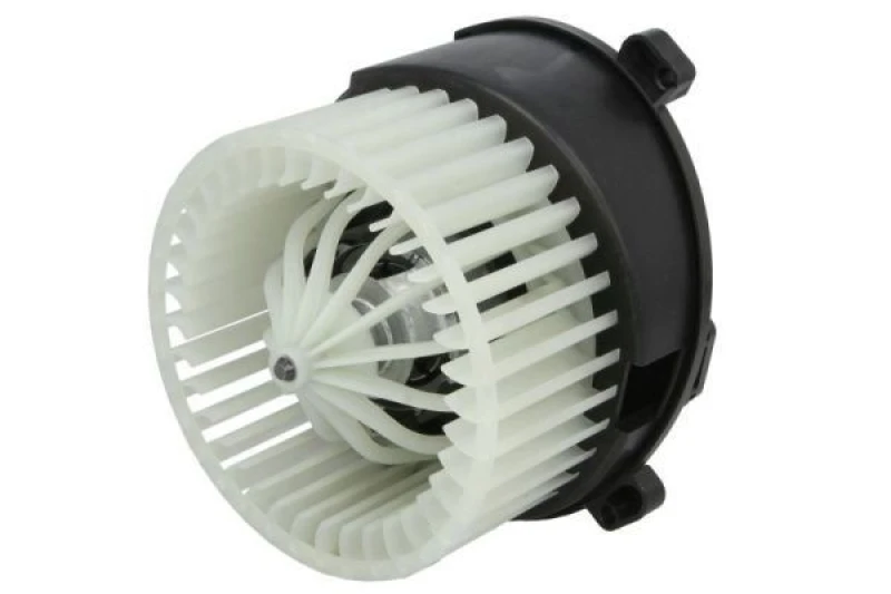 Image of THERMOTEC Blower motor THERMOTEC DDF012TT