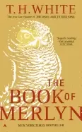 Image of book of merlyn
