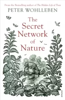 Image of The Secret Network of Nature : The Delicate Balance of All Living Things