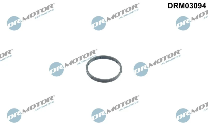 Image of DR.MOTOR AUTOMOTIVE Thermostat housing gasket DR.MOTOR AUTOMOTIVE DRM03094