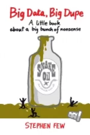 Image of big data big dupe a little book about a big bunch of nonsense