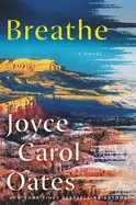 Image of breathe a novel