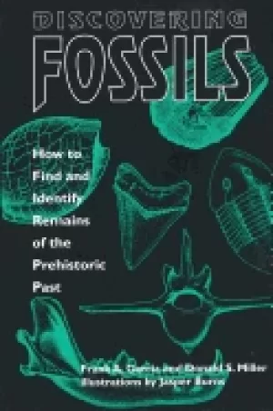 Image of discovering fossils how to find and identify remains of the prehistoric pas