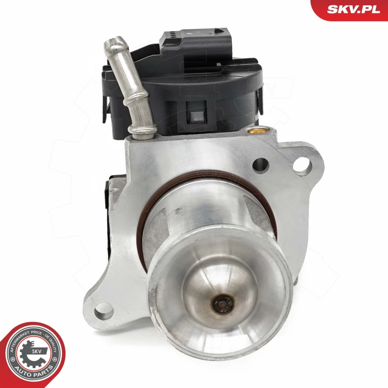 Image of ESEN SKV EGR valve ESEN SKV 14SKV261