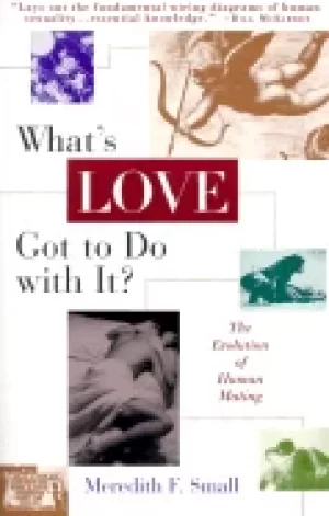 Image of whats love got to do with it the evolution of human mating