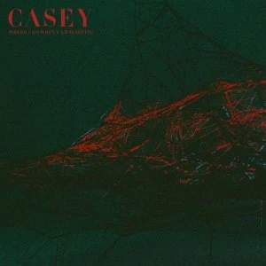 image of Where I Go When I Am Sleeping by Casey CD Album