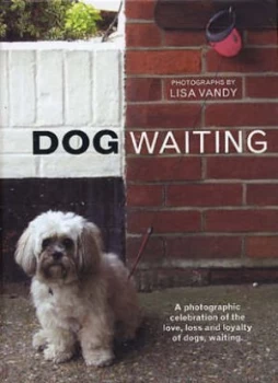 Image of Dog Waiting by Lisa Vandy Hardback