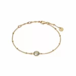 Image of Daisy London Jewellery 18ct Gold Plated Sterling Silver Labradorite Healing Stone Bobble Bracelet 18Ct Gold Plate