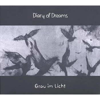 Image of Diary of Dreams - Grau Im Licht Vinyl