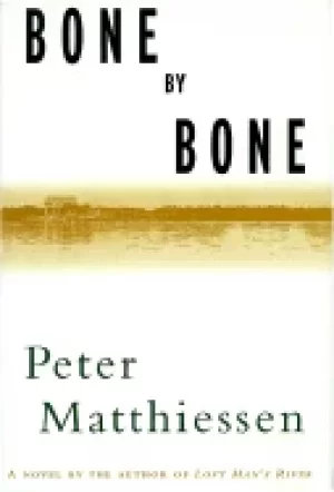 Image of bone by bone a novel