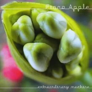 image of Extraordinary Machine by Fiona Apple CD Album