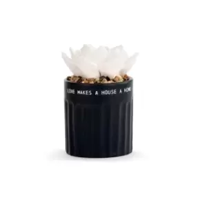 Image of Succulent Oil Diffuser - Home