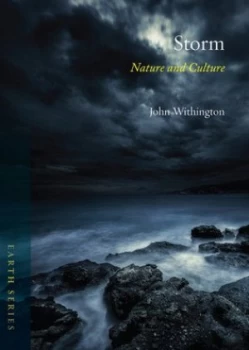 Image of Storm by John Withington Paperback