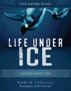 Image of life under ice exploring antarctic seas