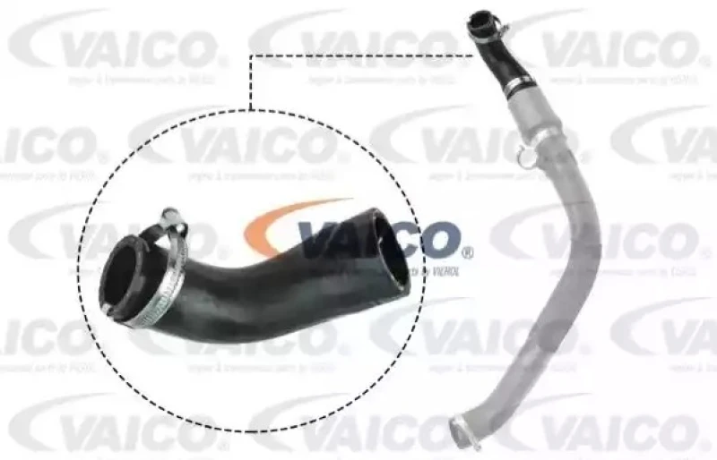 Image of Charger intake hose VAICO V25-1044
