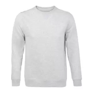 Image of Sols Unisex Adults Sully Sweatshirt (3XL) (Ash)