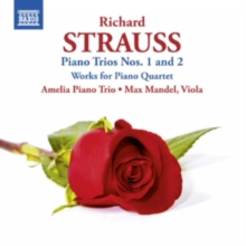 Image of Amelia Trio - STRAUSS:PIANO TRIO 1-2 CD