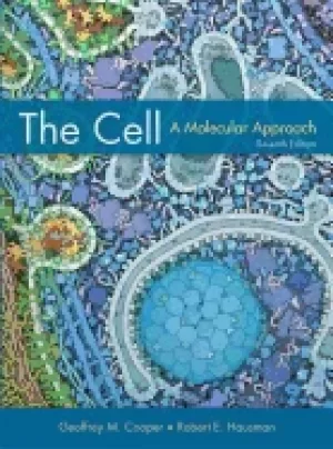 Image of cell a molecular approach