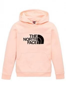 Image of The North Face Girls Drew Peak Flock Logo Hoodie - Pink
