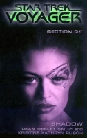 Image of section 31 shadow
