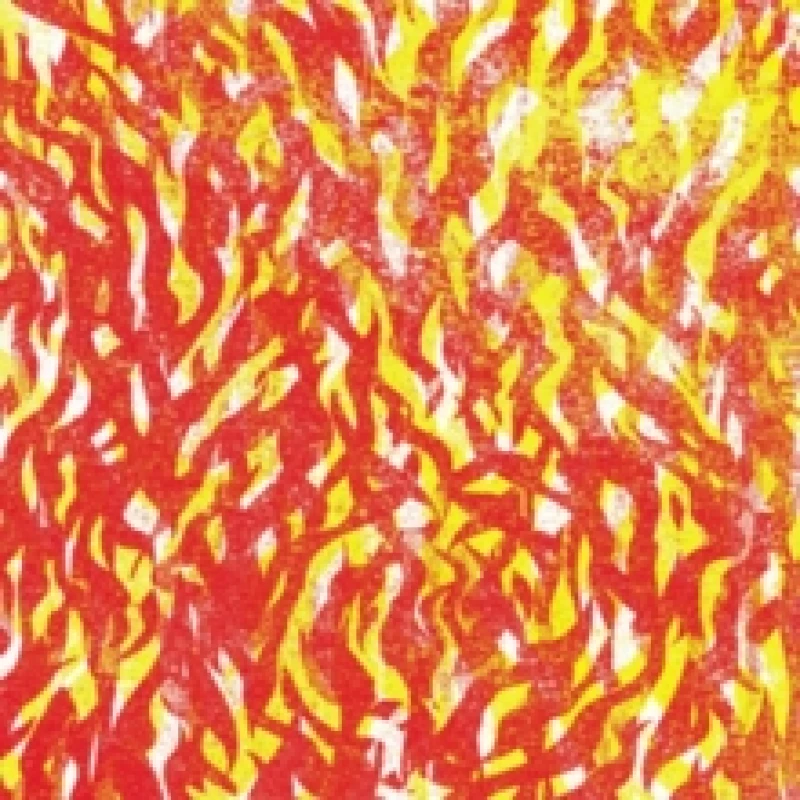 Image of Fire Vinyl