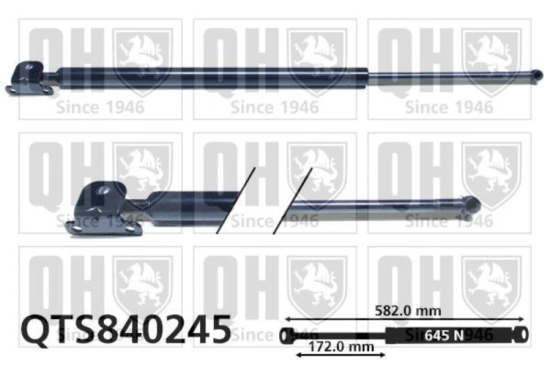 Image of QUINTON HAZELL Tailgate strut QUINTON HAZELL QTS840245