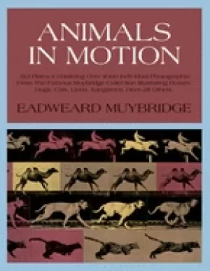 Image of animals in motion