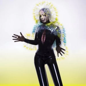 Image of Vulnicura by Bjork CD Album