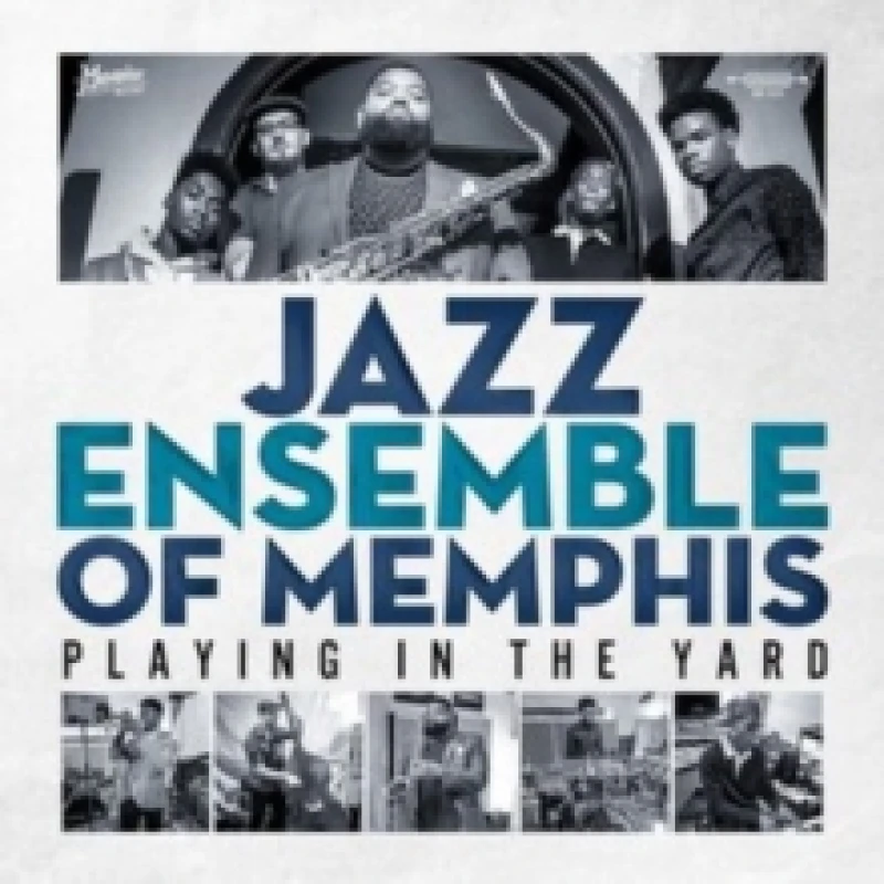 Image of Playing in the yard Vinyl