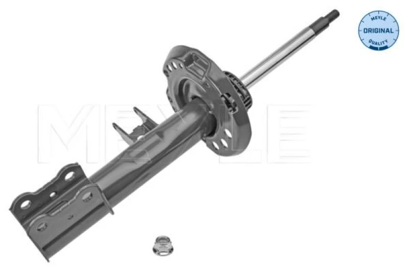 Image of Shock absorber MEYLE 026 623 0027