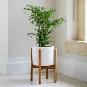 Image of Ivyline Anzio Stone White Planter With Wooden Stand - H38.5Cm D24Cm