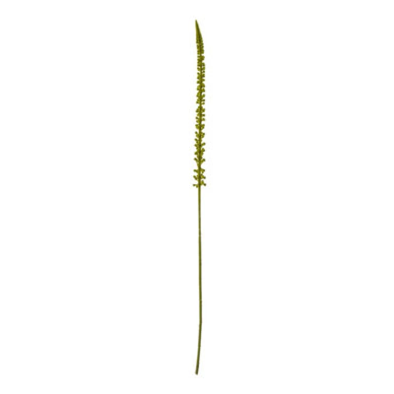 Image of Hill Interiors Eremurus Stem Artificial Plant Green (One Size)