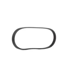 Image of Bosch V-ribbed belt FORD,NISSAN,MITSUBISHI 1 987 946 010 96239408,96239408,7158659 94FF6C301AC,MD189129,117201F710,117204F110