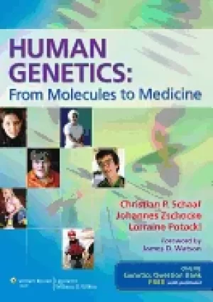 Image of human genetics from molecules to medicine