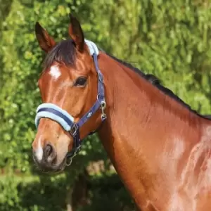 Image of Saxon Element Fleece Headcollar - Blue