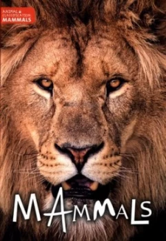Image of Mammals by Charlie Ogden